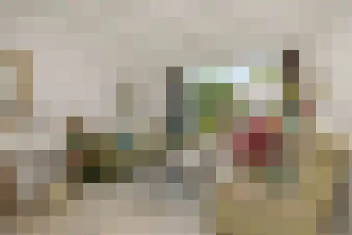 Klaproosstraat 30 Rosmalen thumbnail 6