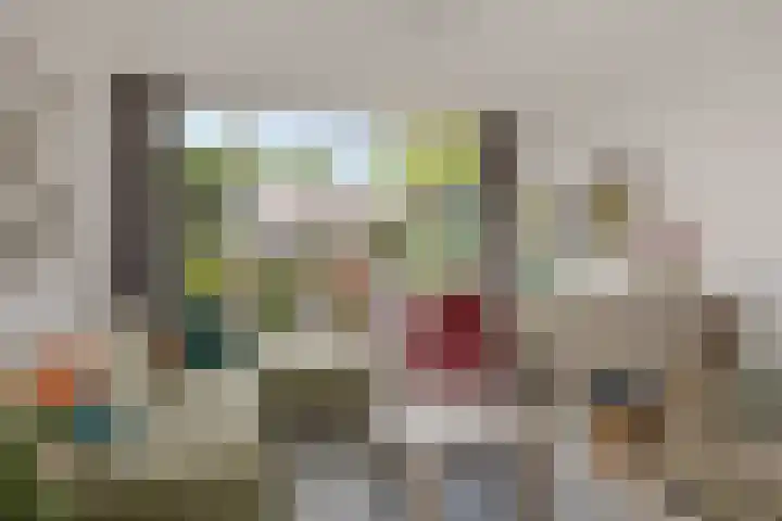 Klaproosstraat 30 Rosmalen thumbnail 7