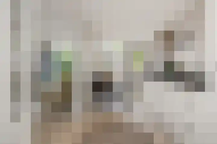 Klaproosstraat 30 Rosmalen thumbnail 8