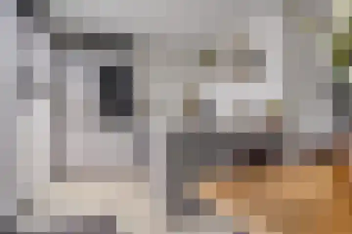 Klaproosstraat 31 Arnemuiden thumbnail 10