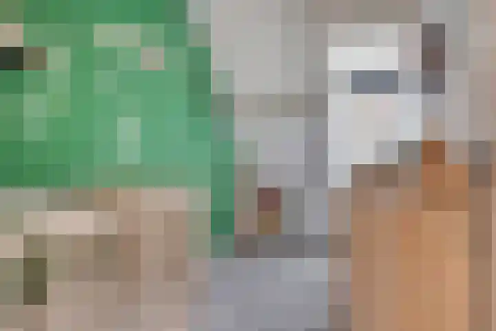 Klaproosstraat 31 Arnemuiden thumbnail 23