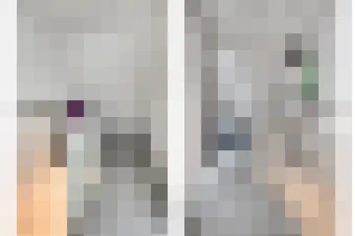 Klaproosstraat 31 Arnemuiden thumbnail 25