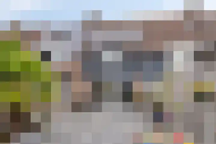 Klaproosstraat 31 Arnemuiden thumbnail 28