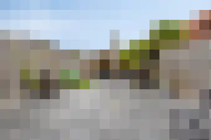 Klaproosstraat 31 Arnemuiden thumbnail 29