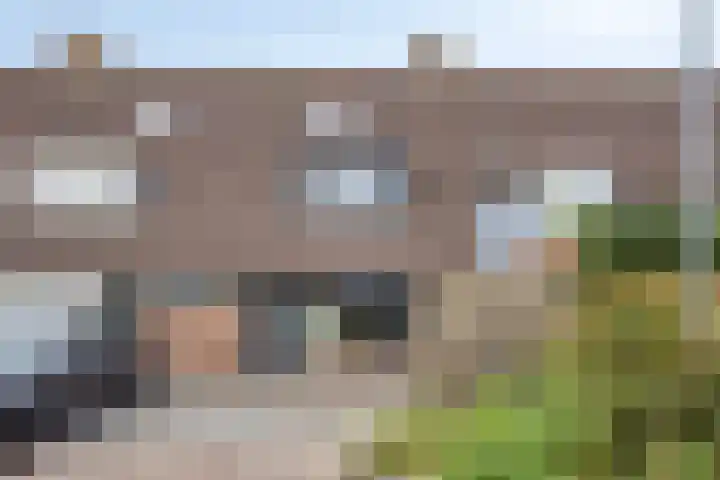 Klaproosstraat 31 Arnemuiden foto 3