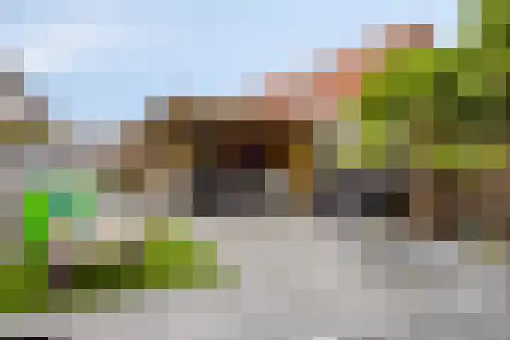 Klaproosstraat 31 Arnemuiden thumbnail 30