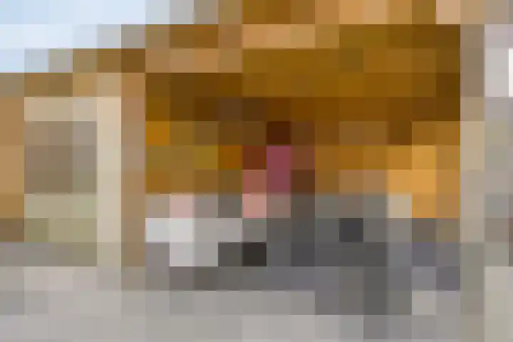 Klaproosstraat 31 Arnemuiden thumbnail 31