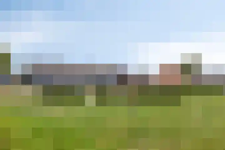 Klaproosstraat 31 Arnemuiden thumbnail 32