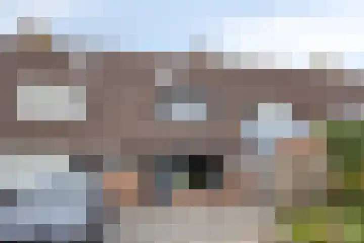 Klaproosstraat 31 Arnemuiden thumbnail 38