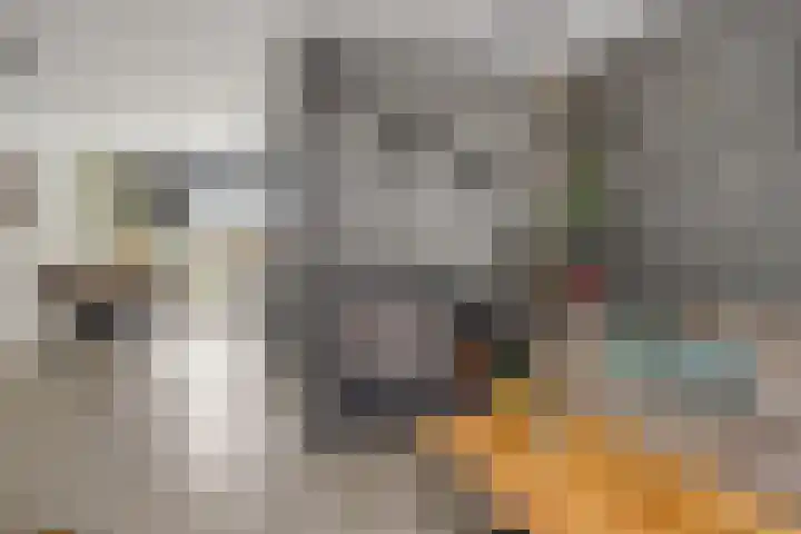 Klaproosstraat 31 Arnemuiden thumbnail 6