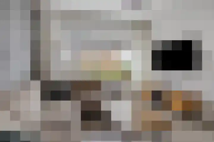 Klaproosstraat 31 Arnemuiden thumbnail 7