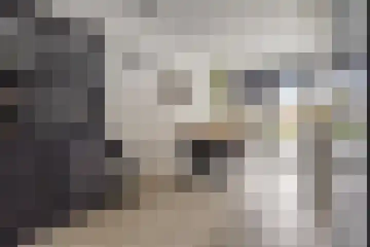 Klaproosstraat 31 Arnemuiden thumbnail 8