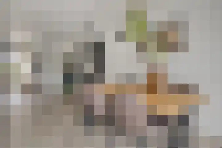 Klaproosstraat 31 Arnemuiden thumbnail 9