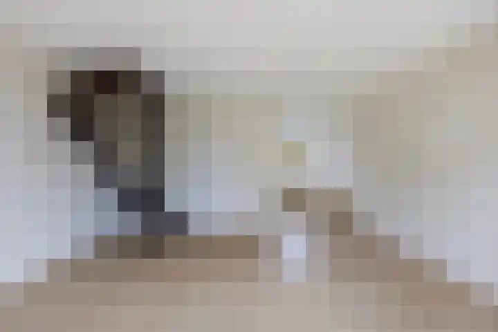 Klaproosstraat 31 Klaaswaal thumbnail 17