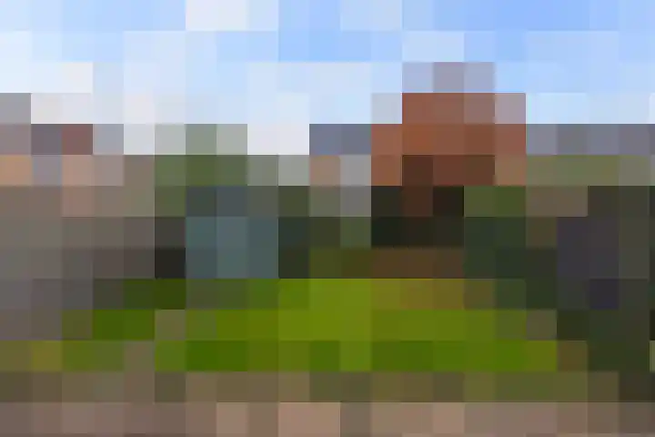 Klaproosstraat 31 Klaaswaal thumbnail 41