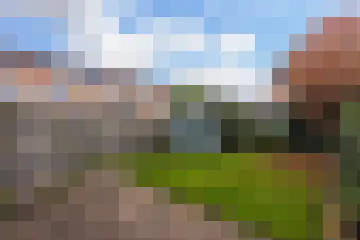 Klaproosstraat 31 Klaaswaal thumbnail 42
