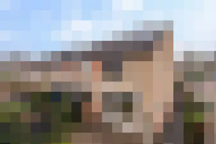 Klaproosstraat 31 Klaaswaal thumbnail 47