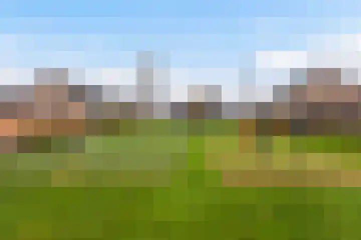 Klaproosstraat 31 Klaaswaal thumbnail 51