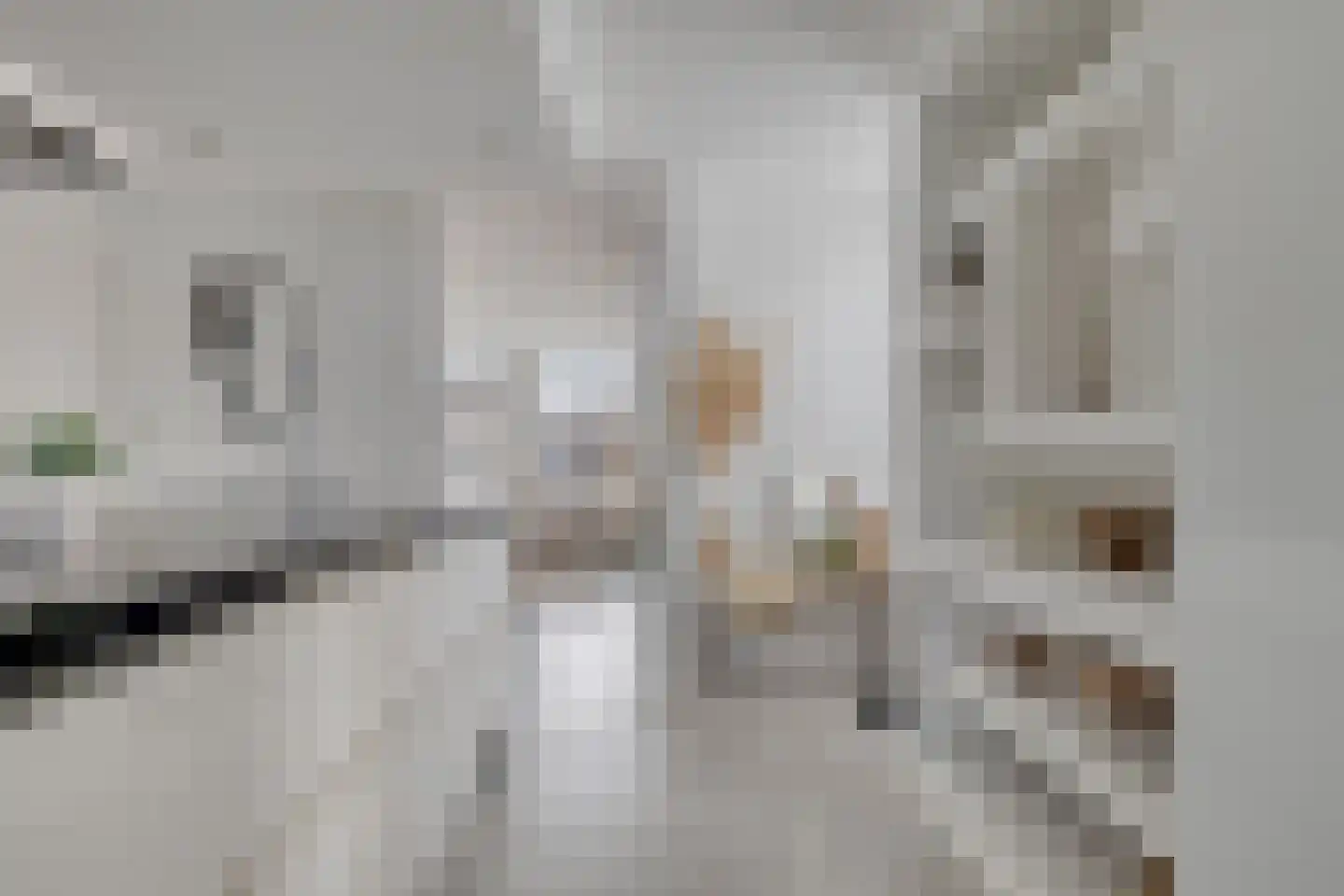 Klaproosstraat 33 Goes thumbnail 14