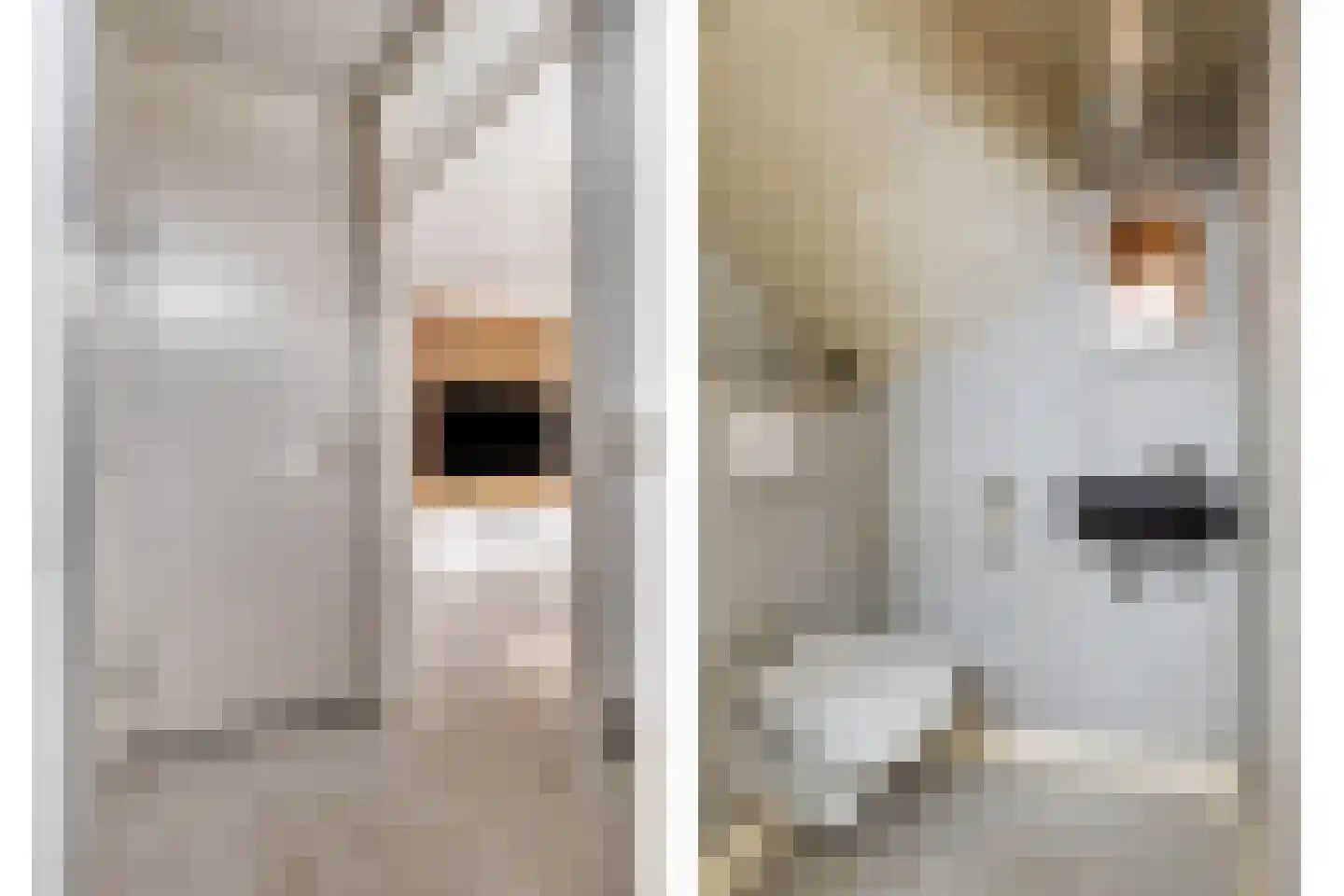 Klaproosstraat 33 Goes thumbnail 4