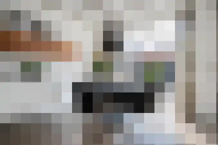Klaproosstraat 34 Ommen thumbnail 18