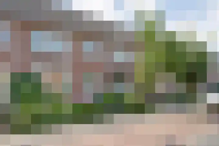 Klaproosstraat 34 Ommen thumbnail 4