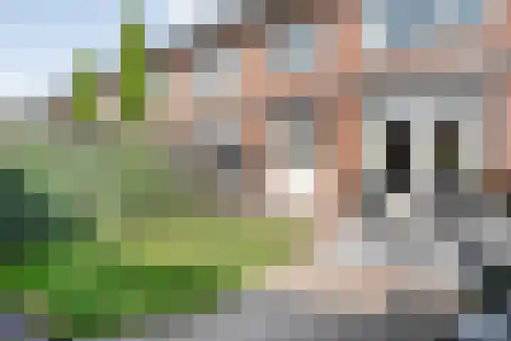 Klaproosstraat 34 Ommen thumbnail 47