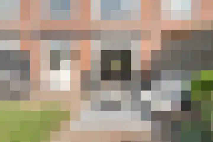 Klaproosstraat 34 Ommen thumbnail 49