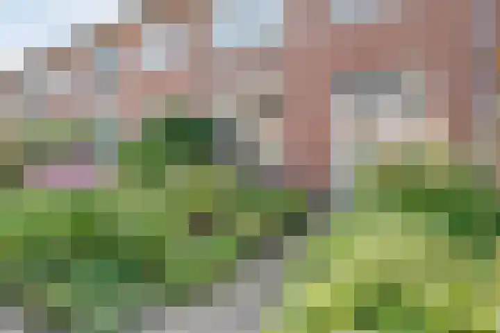 Klaproosstraat 34 Ommen thumbnail 7
