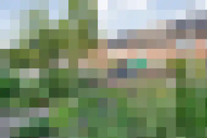 Klaproosstraat 34 Ommen thumbnail 8
