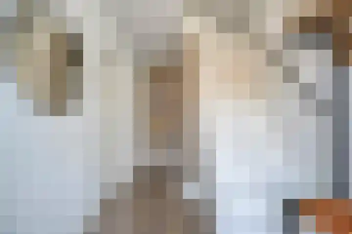 Klaproosstraat 34 Ommen thumbnail 9