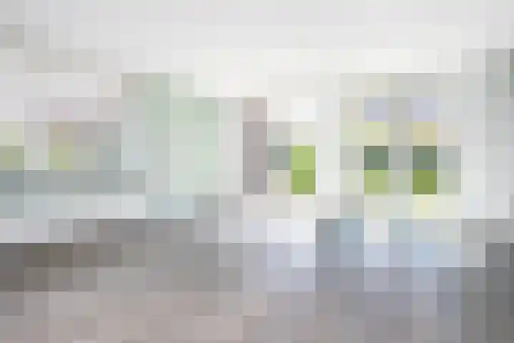 Klaproosstraat 4 Doetinchem thumbnail 11