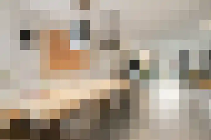 Klaproosstraat 4 Overasselt thumbnail 13