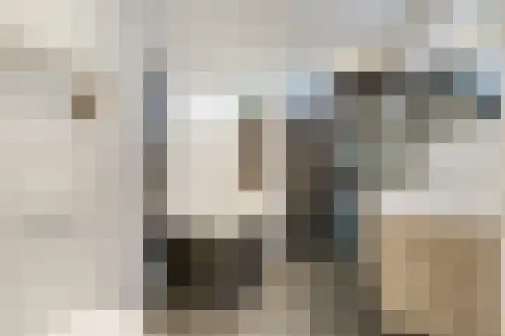 Klaproosstraat 4 Overasselt thumbnail 18