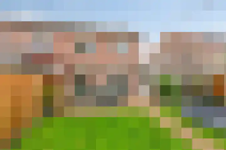 Klaproosstraat 4 Overasselt thumbnail 29