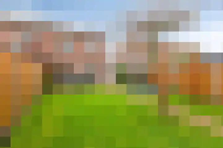 Klaproosstraat 4 Overasselt thumbnail 32
