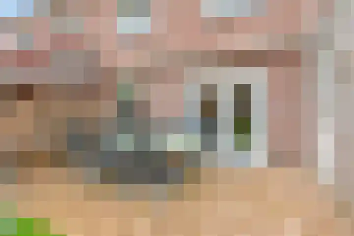 Klaproosstraat 4 Overasselt thumbnail 33