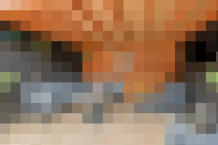 Klaproosstraat 4 Overasselt thumbnail 35