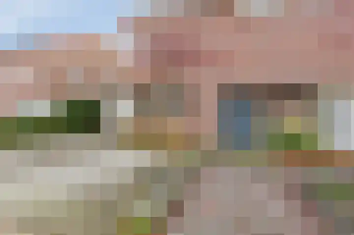 Klaproosstraat 4 Overasselt thumbnail 38