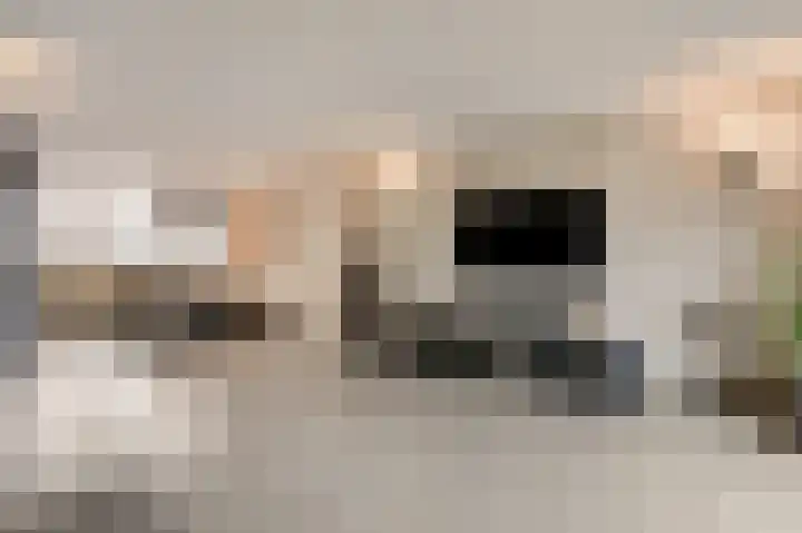 Klaproosstraat 4 Overasselt thumbnail 7