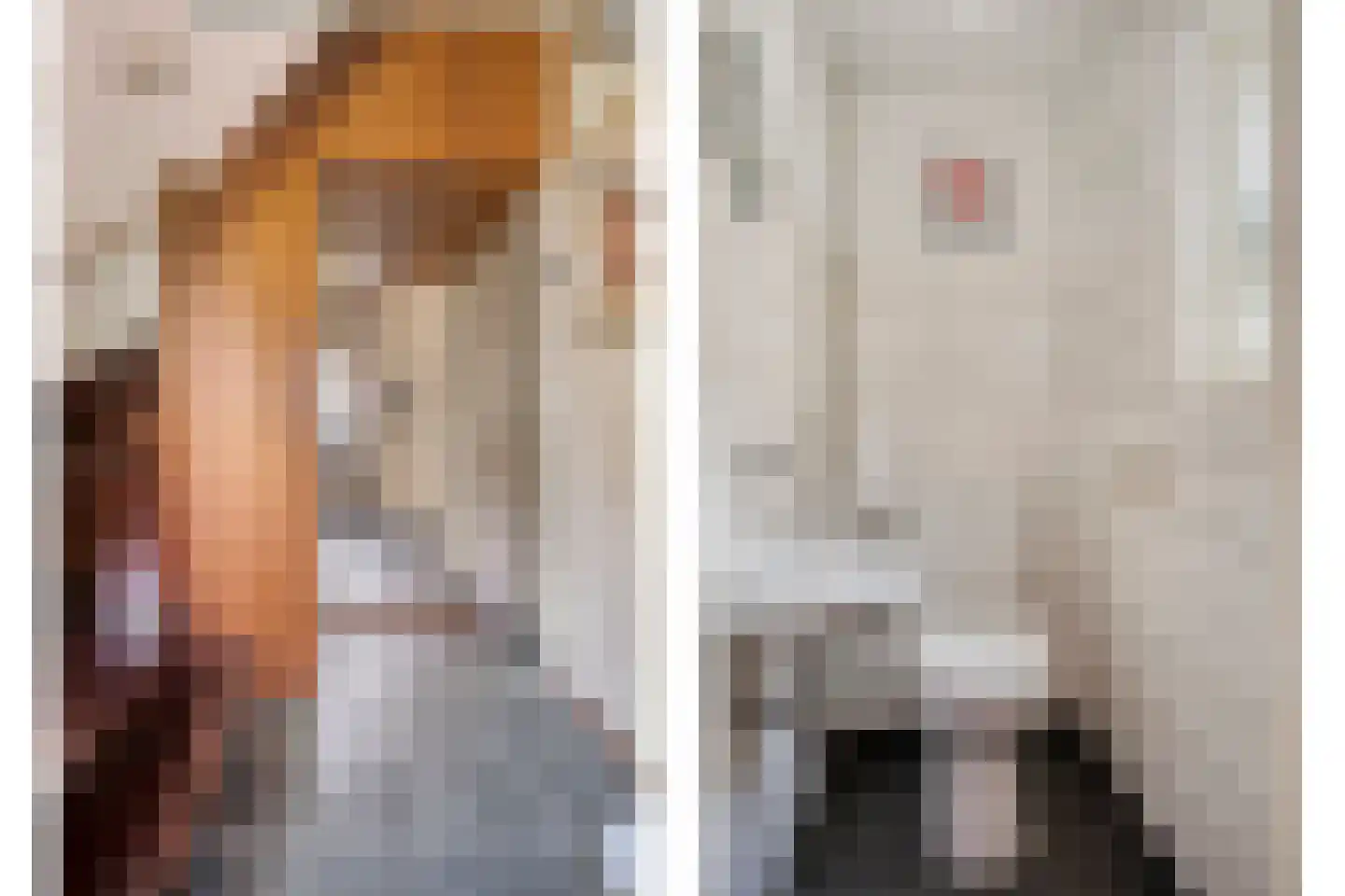 Klaproosstraat 41 Beek en Donk thumbnail 12