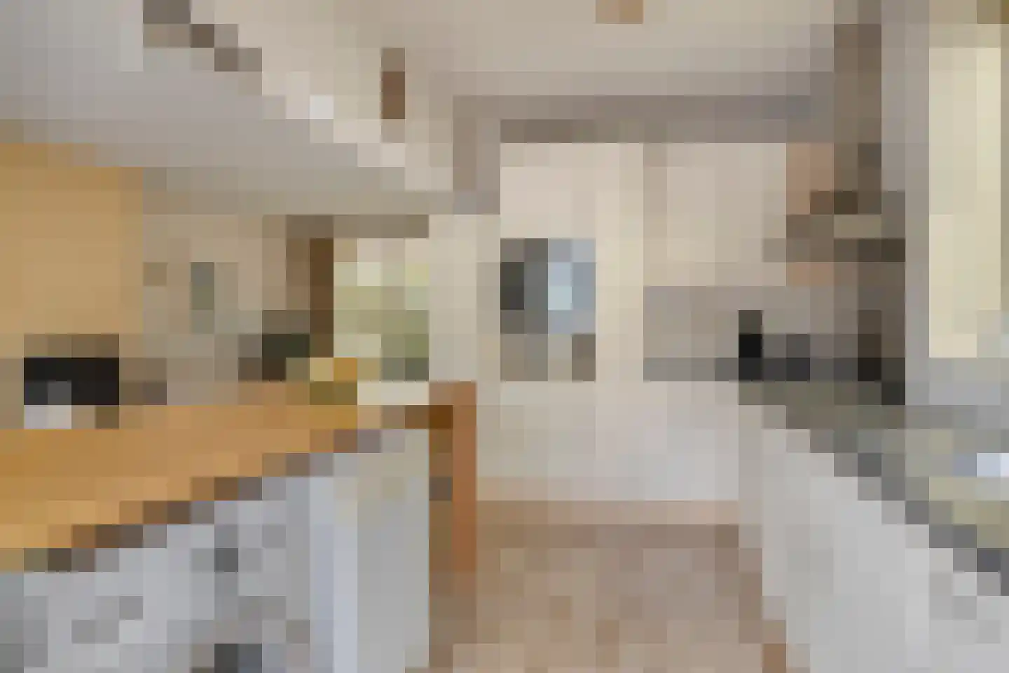 Klaproosstraat 41 Beek en Donk thumbnail 21