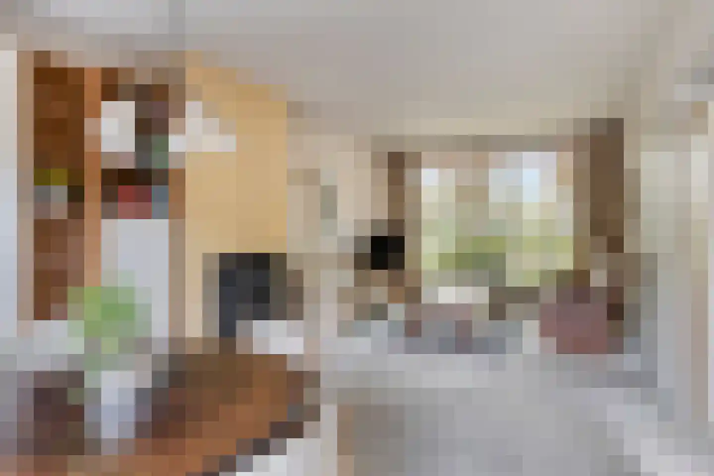 Klaproosstraat 41 Beek en Donk thumbnail 22