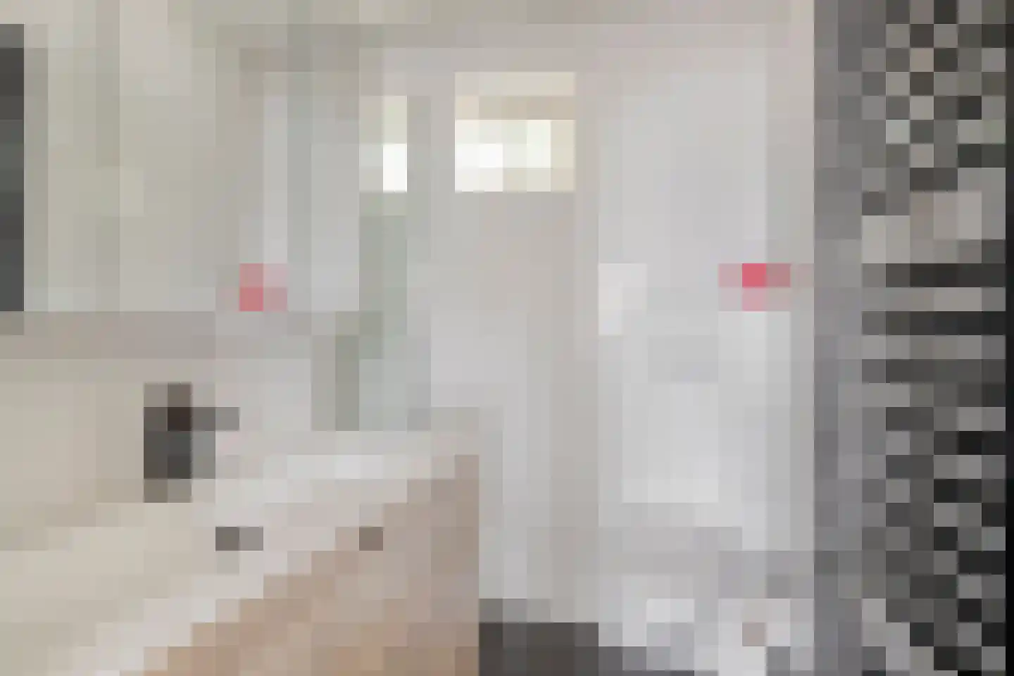 Klaproosstraat 44 Beek en Donk thumbnail 22