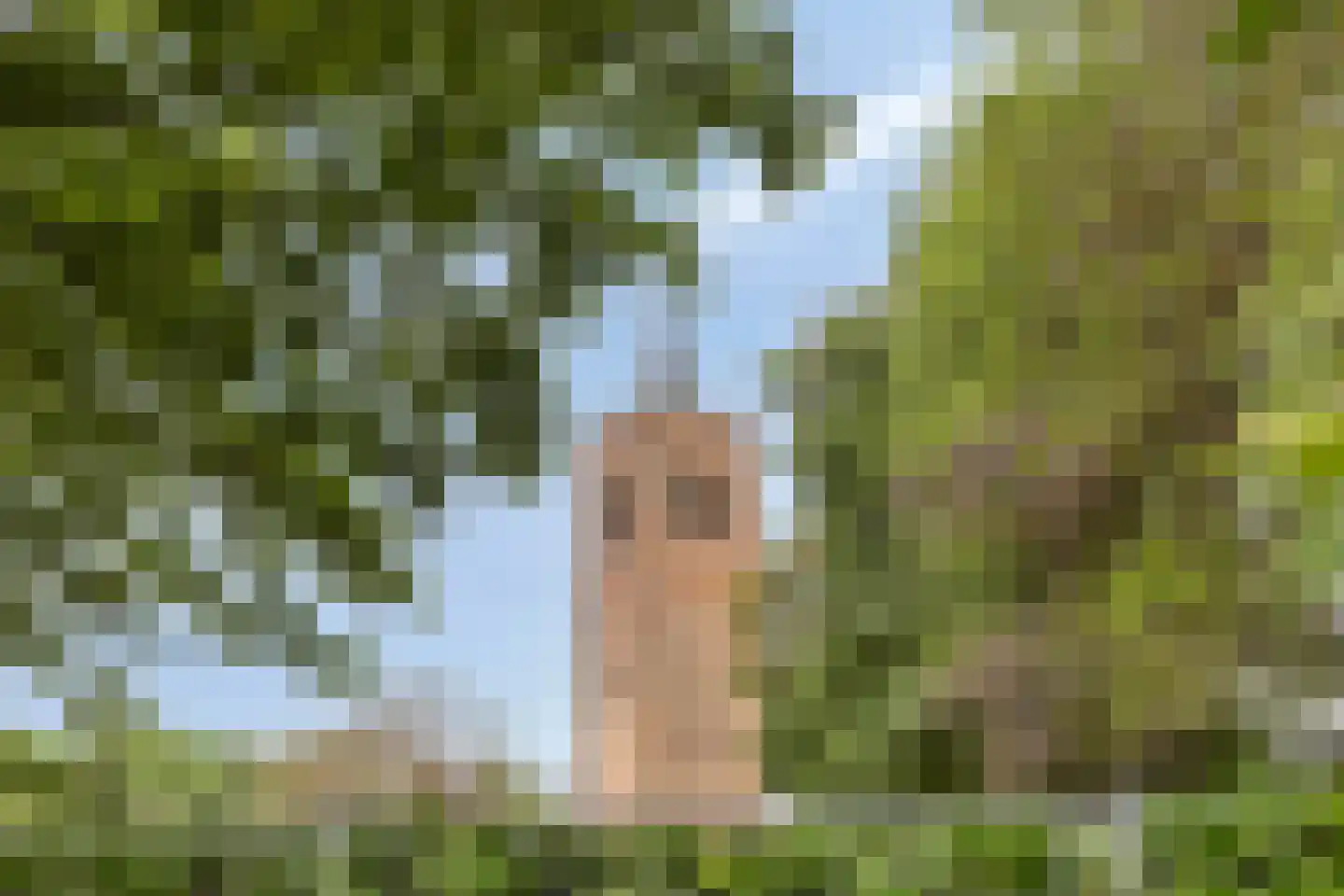 Klaproosstraat 44 Beek en Donk thumbnail 34
