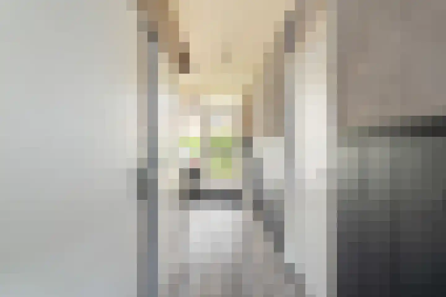 Klaproosstraat 45 Alphen aan den Rijn thumbnail 11