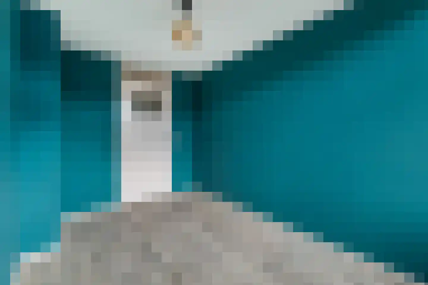 Klaproosstraat 45 Alphen aan den Rijn thumbnail 31