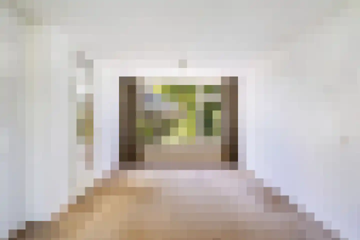 Klaproosstraat 47 Alphen aan den Rijn thumbnail 11