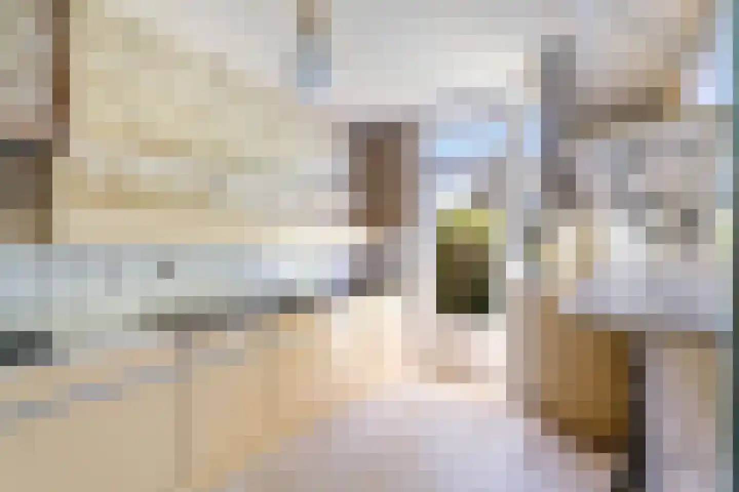 Klaproosstraat 47 Alphen aan den Rijn thumbnail 15