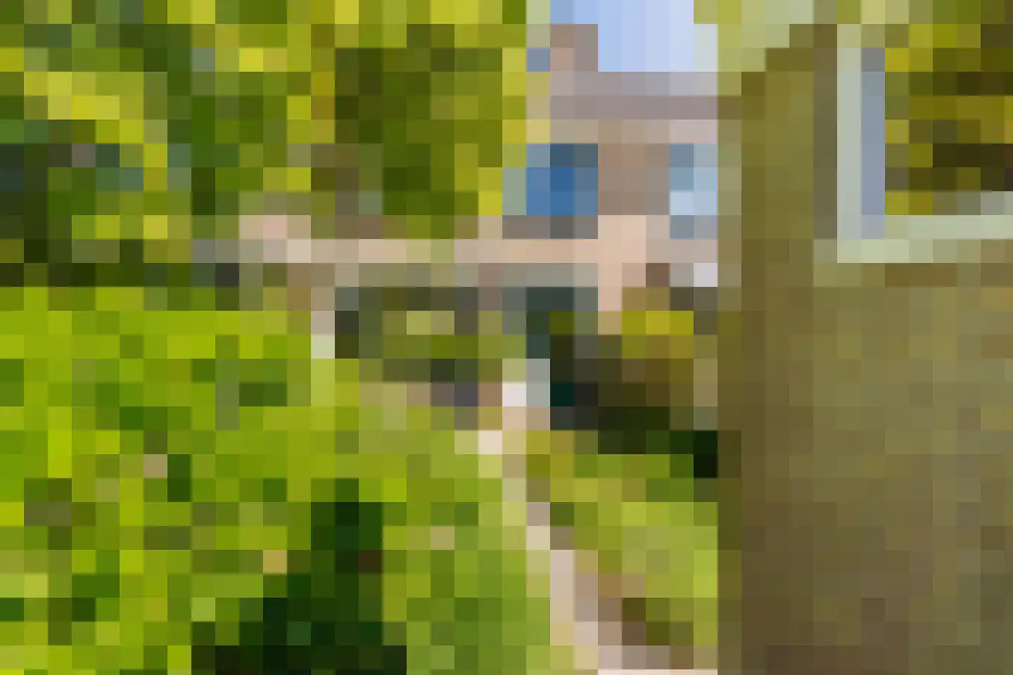 Klaproosstraat 47 Alphen aan den Rijn thumbnail 23